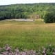 Reclaimed area after natural gas drilling in Chemung County, NY. (DEC.NY.gov)