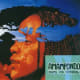 Amampondo Musical Troupe - the face of one of the background singers