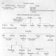 Relationship of Groups #D