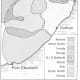 This map shows the how the Africans is South Africa are spread throughout the Region of South Africa