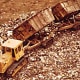 A dump truck does its job at Fresh Kills.