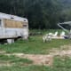 One of the nicer encampments being used by people with nowhere to go and no homes to salvage.