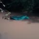 More debris from the flooding will continue to litter waterways throughout the state.
