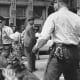 A young man braves a vicious police dog during the Civil Rights Movement of the 1960s.