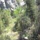Bottom of the Canyon