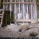 Ground hogs