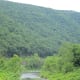 View of Pine Creek
