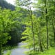 Pine Creek from eastern shore, Leonard Harrison State Park