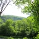 Pine Creek Canyon from the eastern shore of the river looking toward Colton State Park.