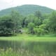 Pine Creek Gorge, southern portion, Waterville, PA
