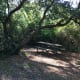 I loved that this site had the picnic table under the tree!