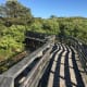 The boardwalk was a little long, but it was a great walk over the dunes.