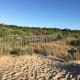 Watching the wind blow over the grasses in the dunes was mesmerizing.