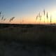 Honestly, this entire tire park is just magical, and the sunset is second to none.
