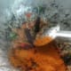 village-chicken-curry