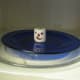 Marshmallow Face on a plate. He doesn't know what is going to hit him.