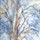 What I imagine my favorite birch tree will look like in the coming months. You will also be able to see on this painting where I have lifted out color on the right portion of the sky and added color on the trunk.