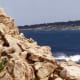 Pacific views along 17 Mile Drive