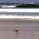 california-pictures-of-the-famous-17-mile-drive