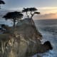 Lone cypress (Cupressus macrocarpa) tree off of 17 Mile Drive in Monterey California