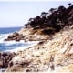 California coastline