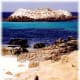 The rock in the background is called Bird Rock but also provides a haven for sea lions and harbor seals.