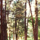 Magnificent grounds