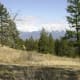 eager-hill-hiking-trail