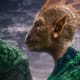 green-lantern-2011-an-enlightened-movie-review