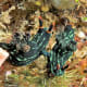Hermaphroditic mating