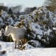 A Dartmoor pony stands in the snow at Burrator in South Devon.