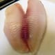Whole tilapia fillet