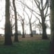 Battery Park, December 2002.