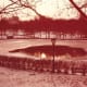 Central Park, Christmas Eve, 1983.