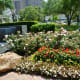 View of Lauren's Garden in Houston's Market Square Park