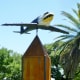 Eagle Plane 2016 by Noah Edmundson on Art Trek