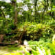 islands-the-innocents-abroad-chapter-2
