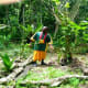 Eddy, our Rain forest guide