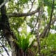 islands-the-innocents-abroad-chapter-2