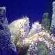 islands-the-innocents-abroad-chapter-2