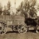 Going for a ride in the wagon