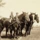 Kids on horseback