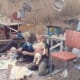 This picture was taken in Carmel Valley at the home of Kosta's parents. You can see the creativity of both children as they have made themselves a house to play in, using whatever materials they could find.