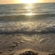 'I must go down to the sea again, to the lonely sea and the sky. And all I ask is a tall ship and a star to steer her by..