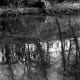 kelvin drive, reflected in kelvin