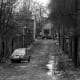 belhaven terrace lane, with bond bug