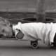 Nick Vujicic as a kid.