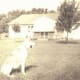 Back of my parent's house showing the sunroom and breezeway (before it was enclosed) between the house and garage. Our German Shepherd Sheba is in the backyard.