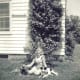 There I am in between Rusty and Mamie with my grandfather's climbing roses on their house next door to ours.