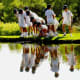 A School group at Kirstenboch Botanical Gardens in Cape Town